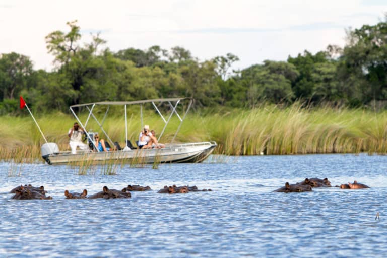 Camp Moremi offers guests motorized boating excursions
