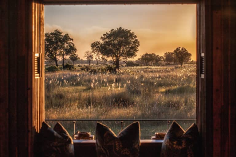 Grass plains as seen from the lounge at Chitabe Camp
