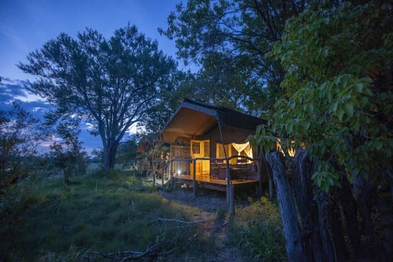 Guest tent exterior at night time at Sango Safari Lodge