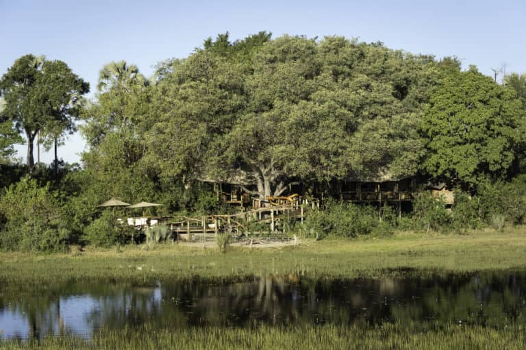 Exterior view of Tubu Tree Camp from the Delta