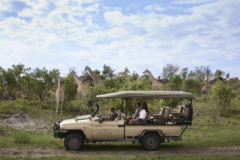 Exciting game drives from Savute Elephant Lodge reveal all sorts of surprises in the bush for avid safari goers