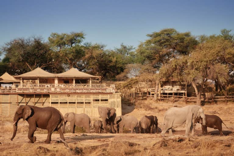 Savute Elephant Lodge's waterhole attracts plenty of wildlife
