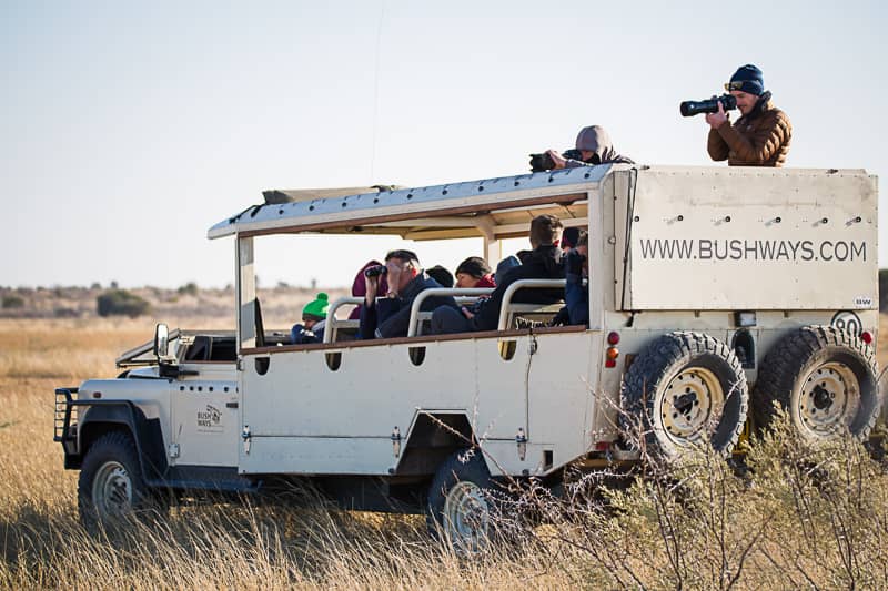 Bush Ways safaris have custom built game viewing vehicles
