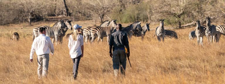 Guests enjoy a guided walking safari at Duma Tau