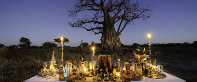 Sundowners against backdrop of magnificent baobab tree at Mombo