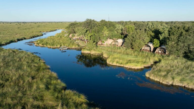 Okuti lies on the banks of the Maunachira River in the Moremi Game Reserve