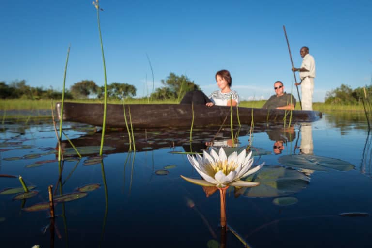 A mokoro excursion along water lily lined channels from Pelo Camp