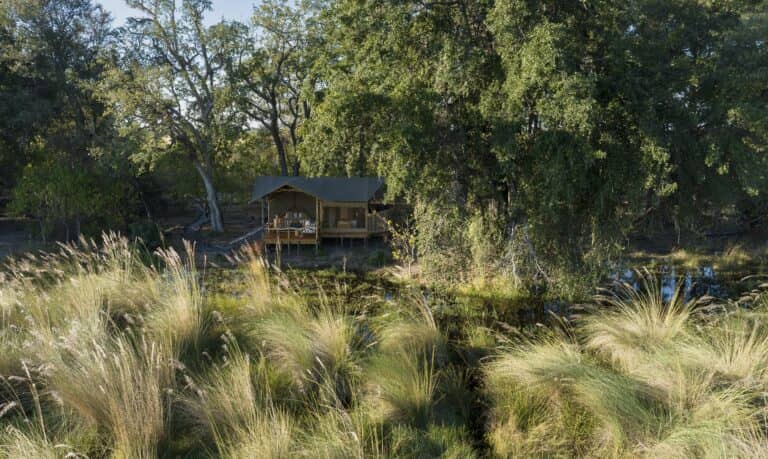 Tents at Shinde Footsteps are nestled into the Okavango bushveld