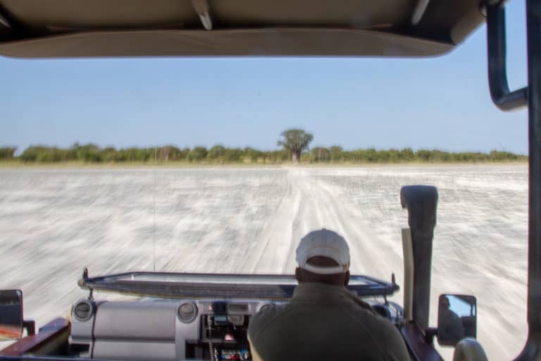 Game drive in the Nxai Pan famous for zebra migration in November