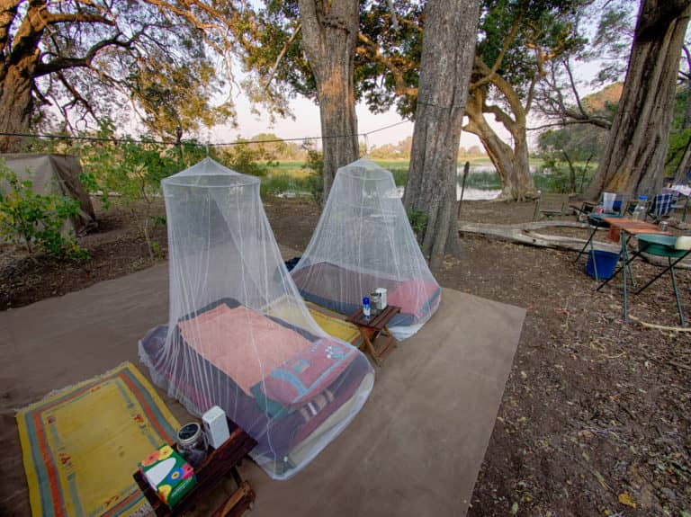 Okavango Horse Safaris Fly camp beds are protected by mosquito nets