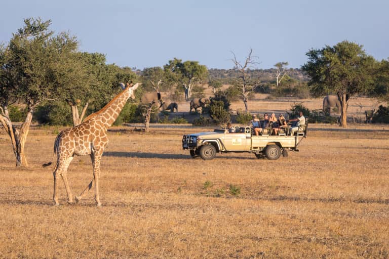 Game drives are part of your day at Euphobia villas
