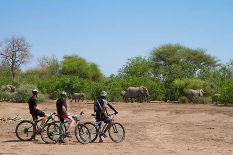Cycling safaris are an additional activity available from Mashatu