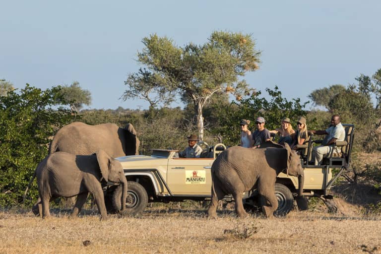 Game drives are part of the daily experience at Mashatu Tented Camp