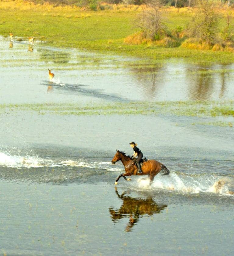 Okavango Horse Safari cantering through floodplains