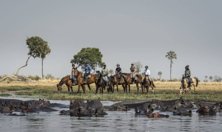 Okavango Horse safari riders looking at hippos