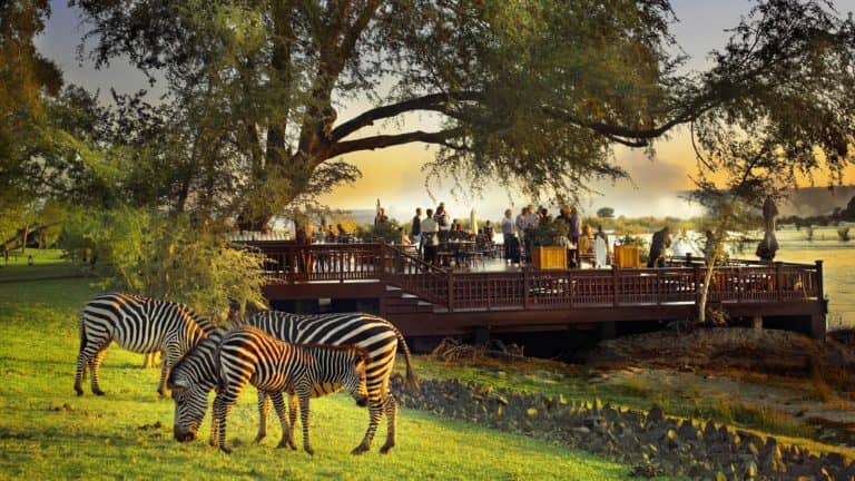 The sun deck at Royal Livingstone Hotel with zebra in the foreground