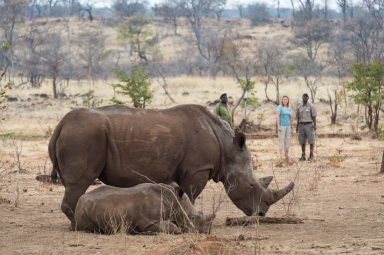Rhino tracking in the national park with your Toka Leya Guide