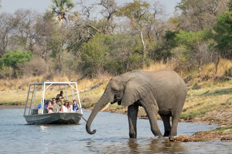 Boating Safari brings guests close to elephants at Toka Leya