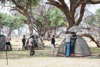The most affordable Botswana mobile safaris are semi participation safaris