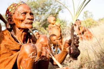 A genuine Kalahari Bushmen experience courtesy of Jack's Camp