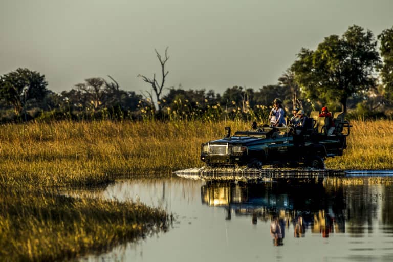 Guests at Duba Plains Suite have a private vehicle and guide and complete flexibility