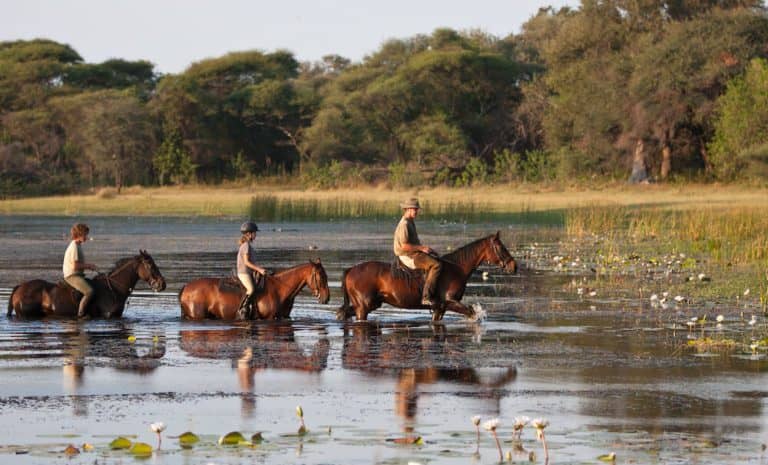 Horse riding in the Okavango from Thamo Telele