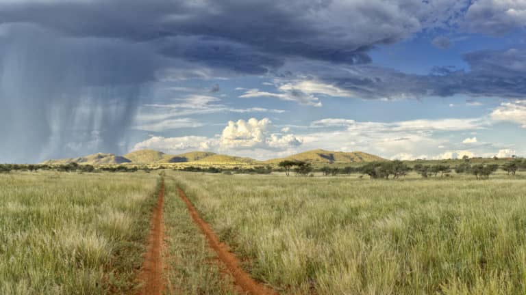 Kalahari landscape of sky and windswept grass from Tarkuni