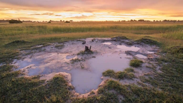 Beagle expeditions picturesque Botswana landscape