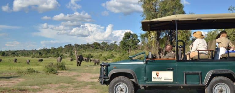 Ngoma Safari Lodge game drive on elephant sighting