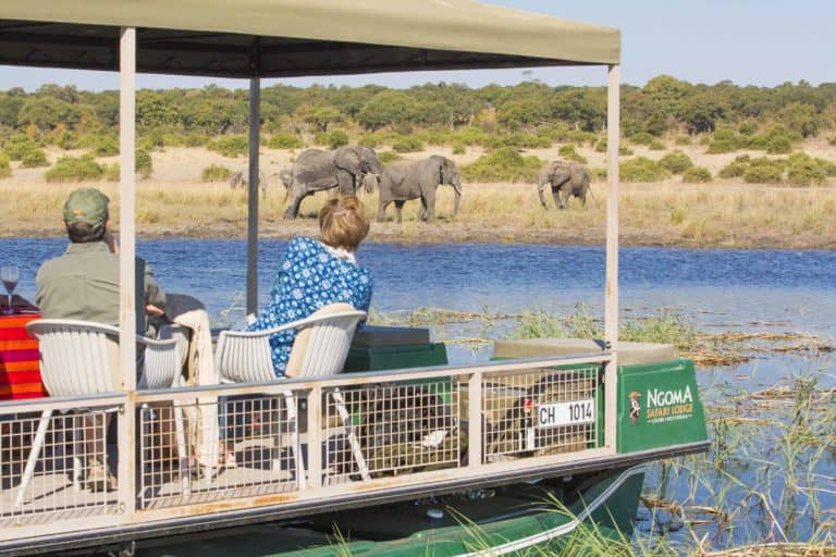 Ngoma Safari Lodge boat cruise with elephants on river edge