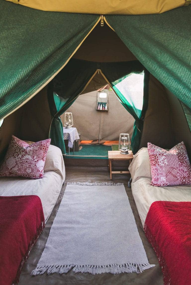 Semi luxury tents - Walk Botswana Safaris
