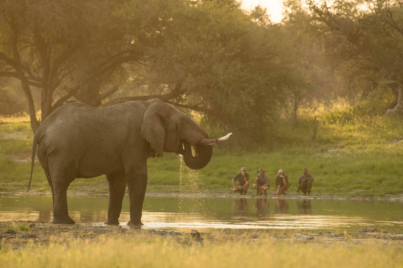 botswana safari november