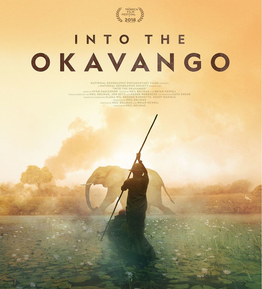 The Best Nature Documentaries on Botswana - Okavango Delta