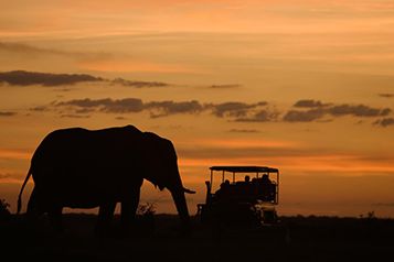 A sunset game drive from the Duba Plains Suite