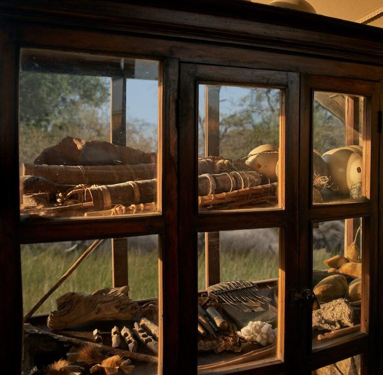 Cabinets of natural history and african memrobillia at Duke's Camp