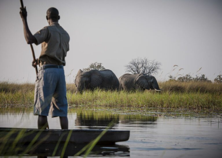 Mokoro safaris at Duke's Camp offer a chance to see the water loving animals