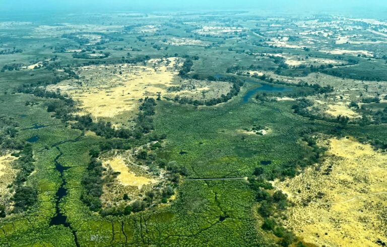An aerial view of north island okavango camp