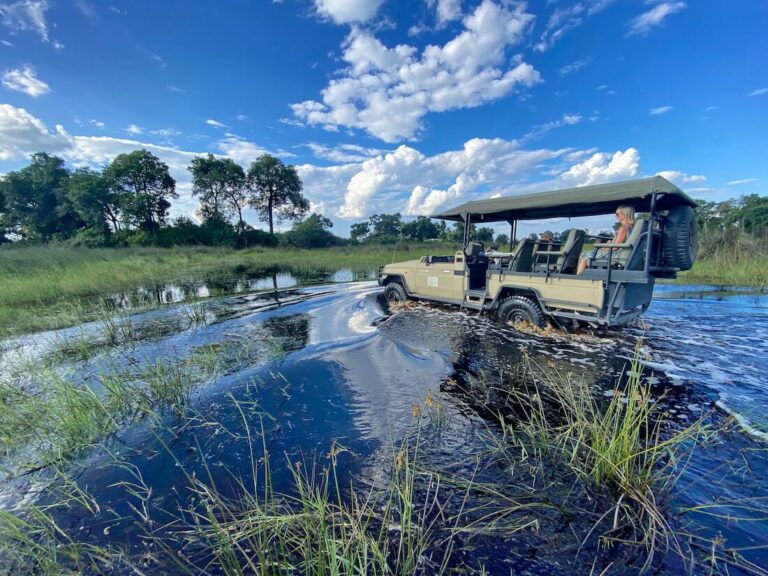Game drives through flood waters in the north Okavango Delta
