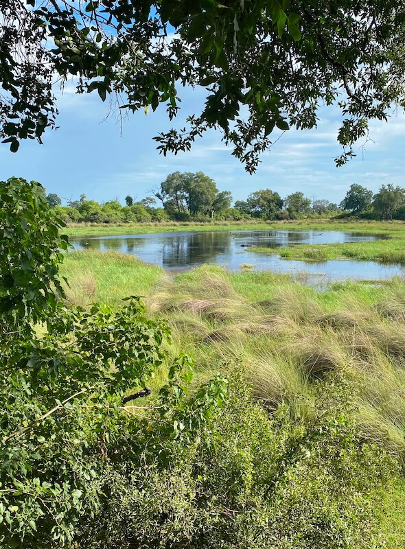 View of the waters surrounding North Island Okavango