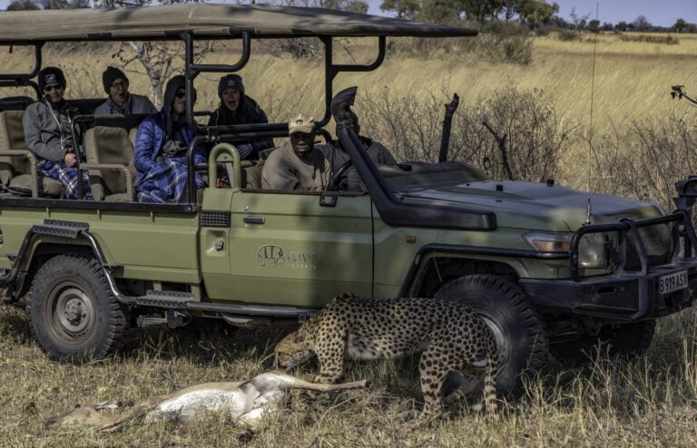 Cheetah are regularly seen on the Kwara Reserve