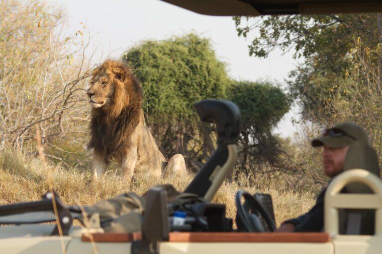 Private guiding with Roger Dugmore Safaris