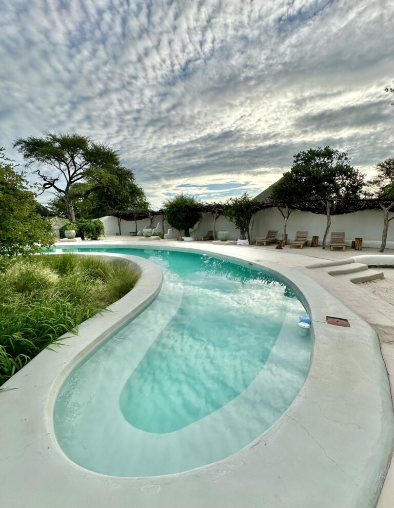 Swimming pool at Moela Safari Lodge